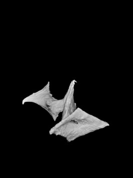 raumklasse — udk berlin