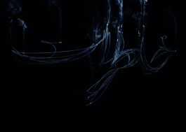 raumklasse — udk berlin