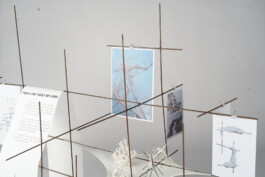 raumklasse — udk berlin
