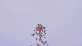 raumklasse — udk berlin