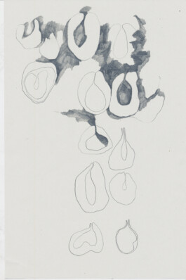 raumklasse — udk berlin