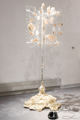 raumklasse — udk berlin