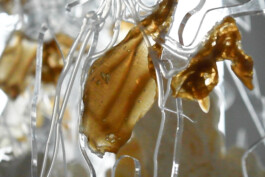 raumklasse — udk berlin