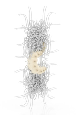 raumklasse — udk berlin