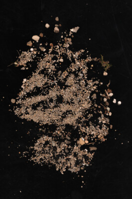 raumklasse — udk berlin