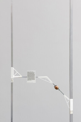 raumklasse — udk berlin