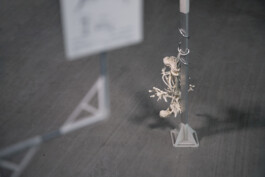 raumklasse — udk berlin