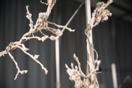 raumklasse — udk berlin