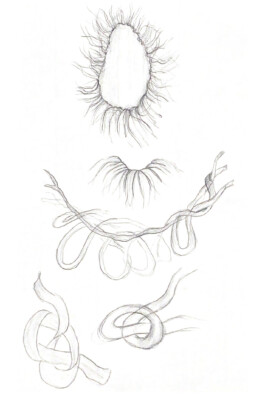 raumklasse — udk berlin