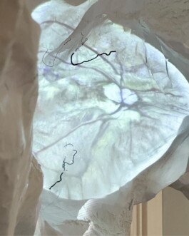 raumklasse — udk berlin