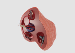 raumklasse — udk berlin