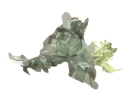 raumklasse — udk berlin