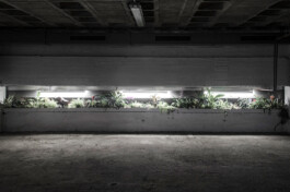 raumklasse — udk berlin